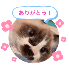 uchinokostamp_20210516173305