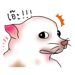 Jaoka SK_20210516175533