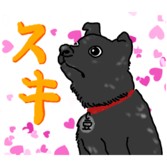 Penguin_20210517010408