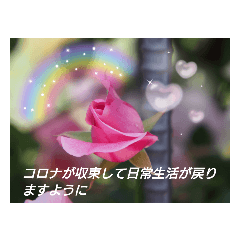 hana_20210517135355
