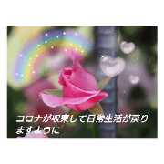 hana_20210517135355