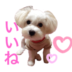 Yuka_20210517143951