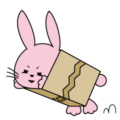 box rabbit everyday