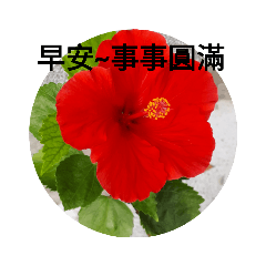 長輩早安問侯圖二花係列