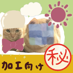 Sticker for decoration ! 3