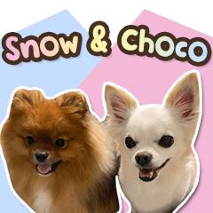 Snow & Choco