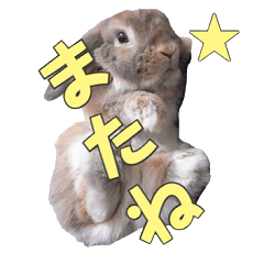 Taremimichannel : Sekito The Bunny