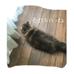 VIVI_20210517165705