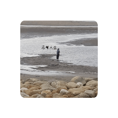 柔柔特輯 第一彈