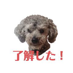 yuka_20210517173342