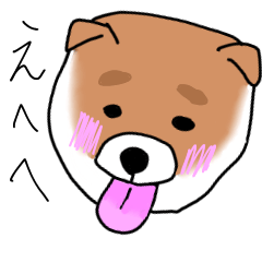 hal dogs