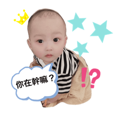 蔡蔡蔡沐宸