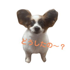 Hana_20210517163644