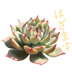 orange_20210517190525