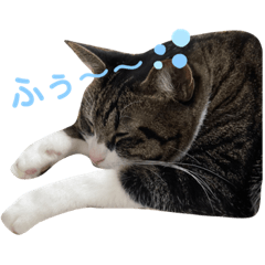 Hana_20210517191126