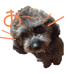 yamada_20210517193956