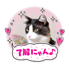 aoi_20210517220156