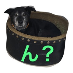 Cookie sticker(dog)
