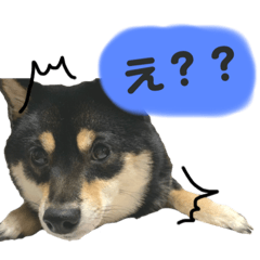 mizuki_20210517230228