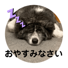 akiko_20210518004812