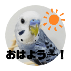 mizuki_20210518061802