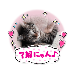 danny_20210517201514
