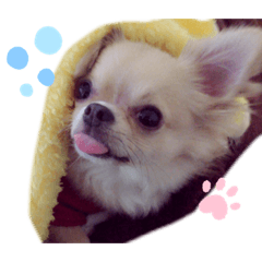 chan_20210517214054