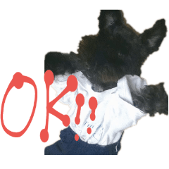 vivi sticker.