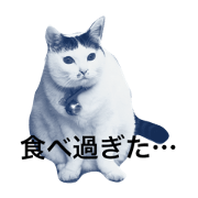 wonnyan