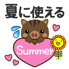 Summer of  boar Sticker