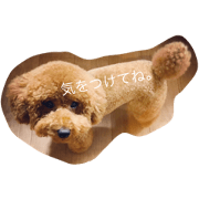 Koharu-kun