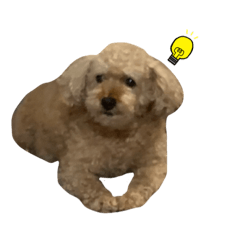 yamada_20210518121138