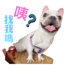 大家好我是嘟嘟