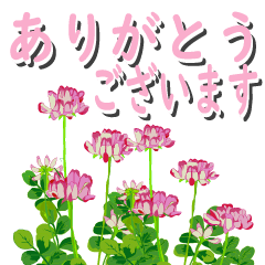 Floral respect language
