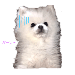 RINA_20210517223037