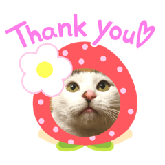 Ayumi_20210518122210