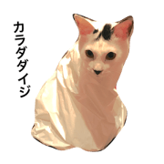 come cat