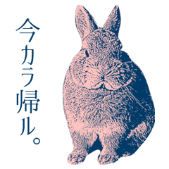 Inari the Rabbit Sticker 2