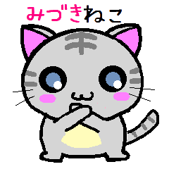 Miduki cat