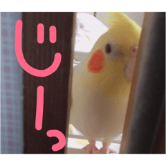 egggg