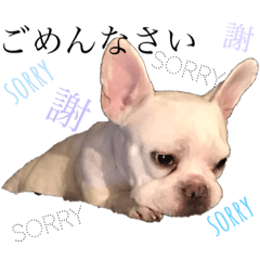 ayumi_20210518132007