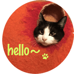 ライトな生活 Line スタンプ Line Store