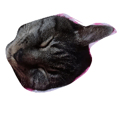 cat-neco