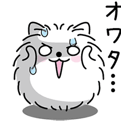 動く 男前ポメラニアン Line スタンプ Line Store 動く 男前ポメラニアン Line スタンプ Line Store