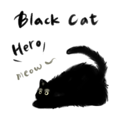 Black Cat Hero meow