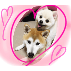MAME&MOMO