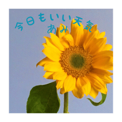 ayumi 23_20210518164812