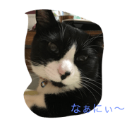 naruminoneko3