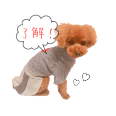 toypoodles!