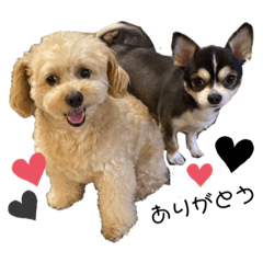 melon_20210518233854